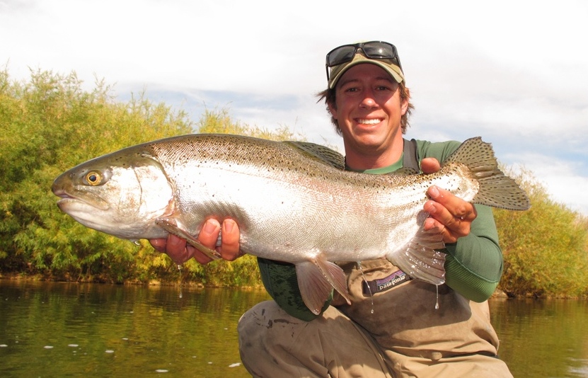 big montana trout