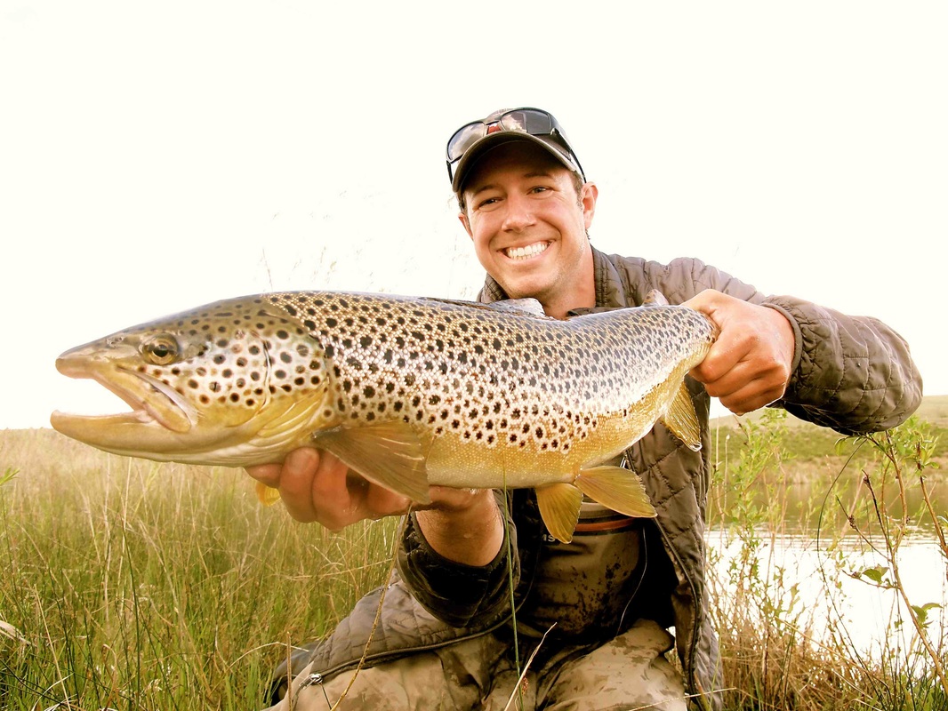 big trout Montana