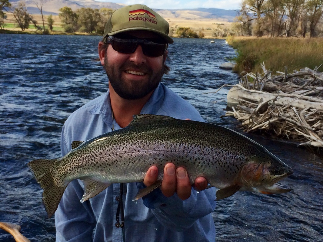 madison river rainbow trout