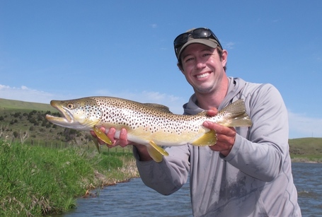 madison river fly fishing