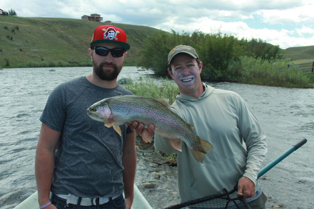 madison river rainbow trout