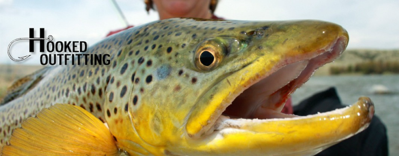 Learn To Fly Fish - Madison River Outfitters