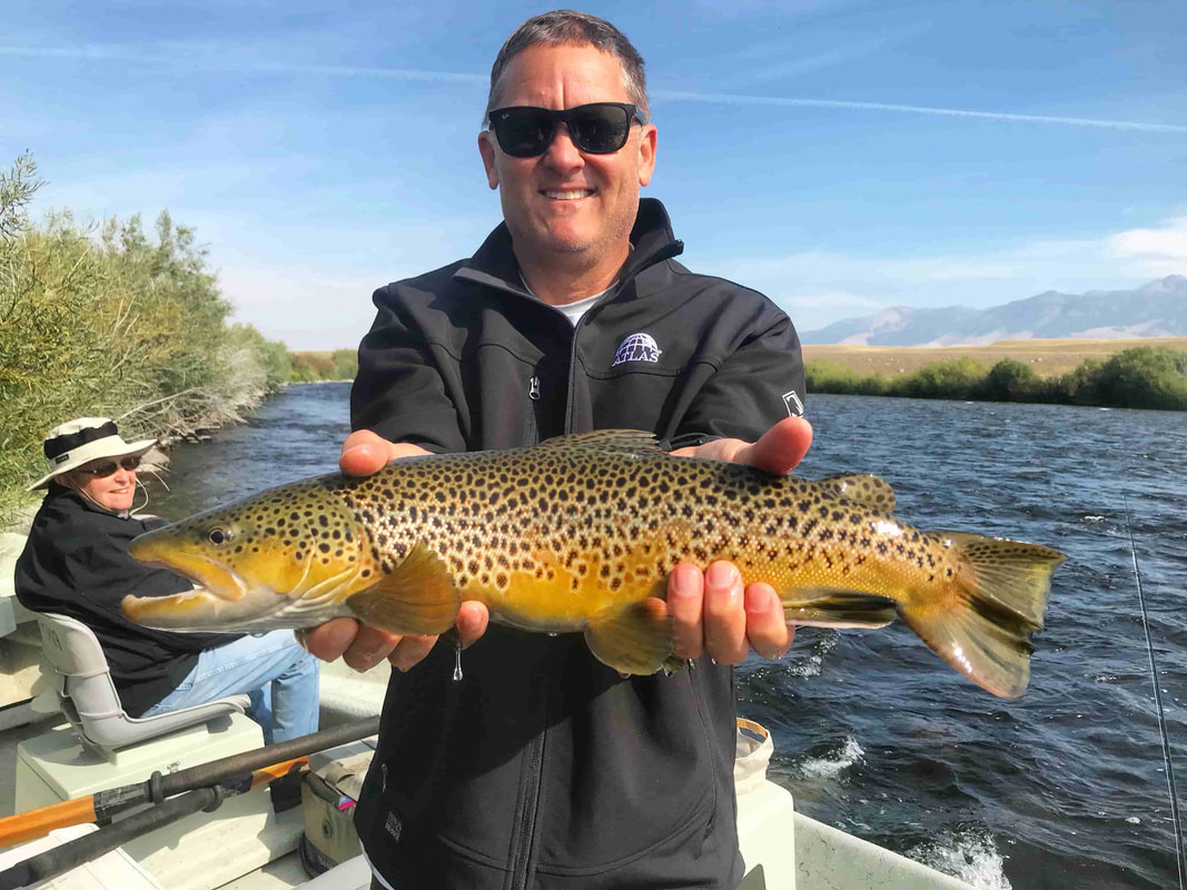 Madison River fly fishing